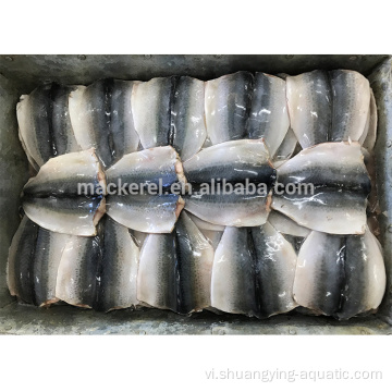 Cá đóng băng Pacific Mackerel vạt với tiêu chuẩn EU